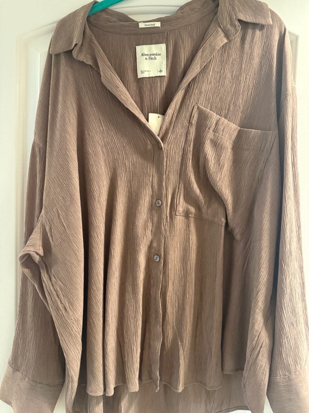 Abercrombie & Fitch Dusty Mauve Crinkled Button-Front Top